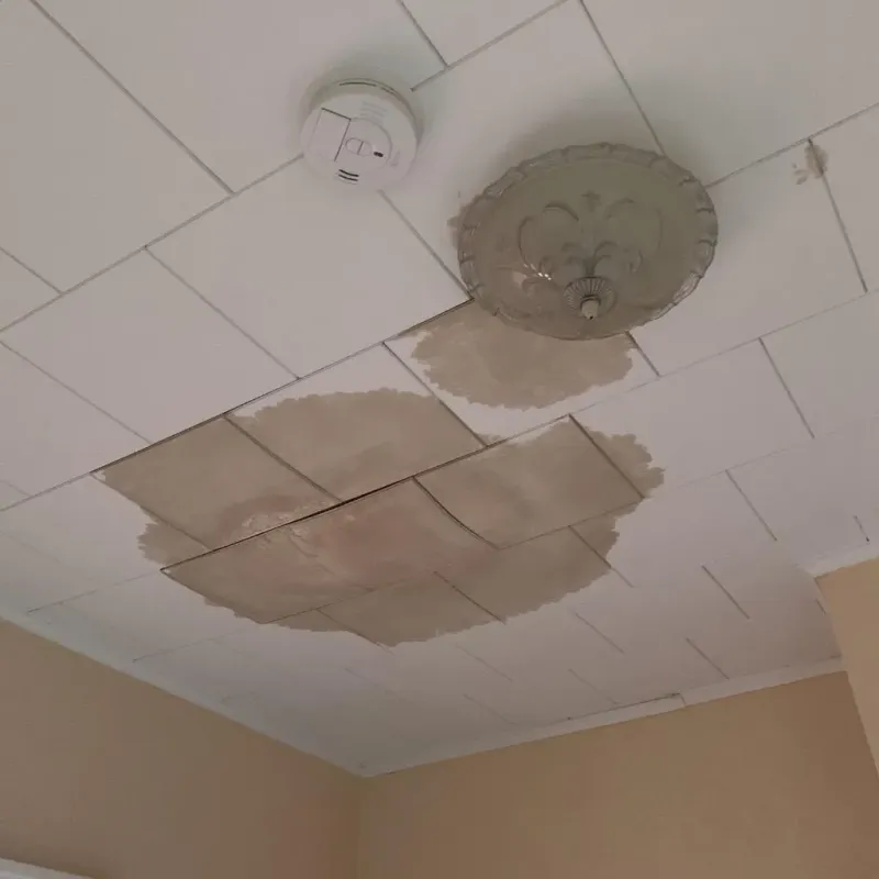 Ceiling Water Damage Repair in Beaufort County, NC