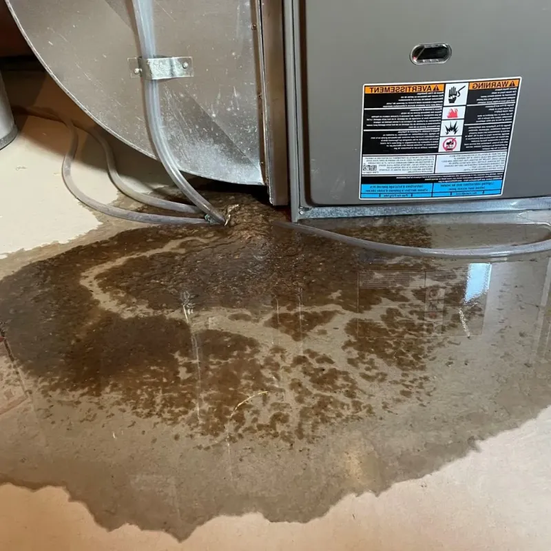 Pipe Burst and Leak Restoration in Beaufort County, NC