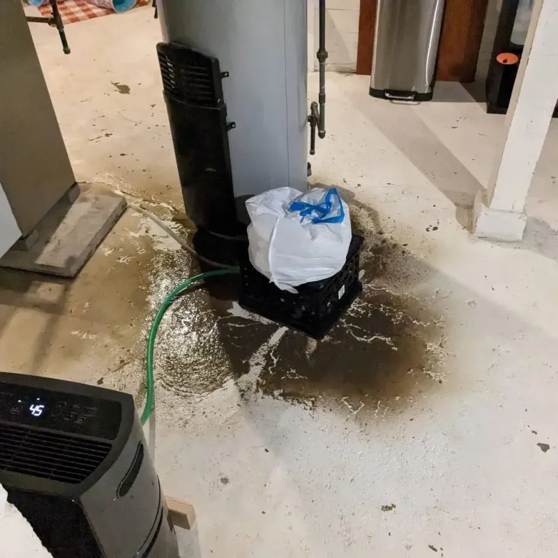 Sewage Backup Cleanup Service in Beaufort County, NC